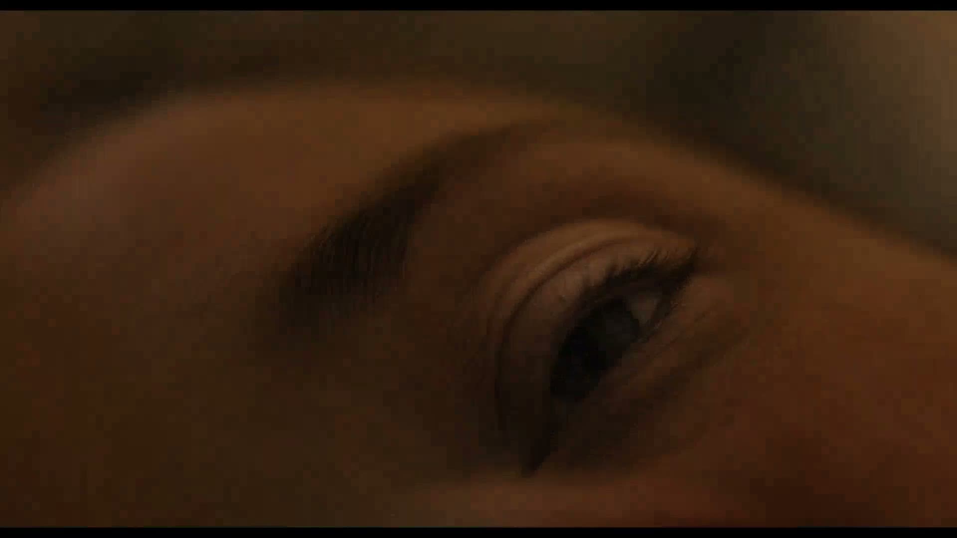 Safe House
