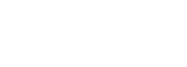 Team 17